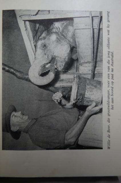 Die held van die oerwoud. Pieter de Waal. Verhaal van Willie de Beer in Duits-Oos Afrika 1914 - 1948